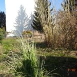 312_Franz_Josef
