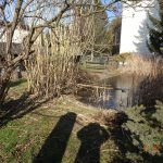 312_Teich1