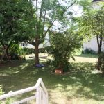 435_Gemeinschaftsgarten
