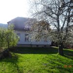 550_Anischt vorne