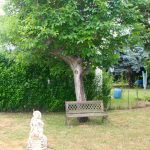 551_Garten_li