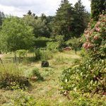 552_Ausblick