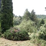 552_Aussicht