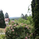 552_Garten