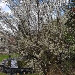 WhatsApp Image 2026-01-22 at 17.03.25(1)