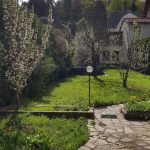 WhatsApp Image 2026-01-22 at 17.03.27(2)